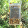 Chakra Harmonizer, Rectangular, black and gold flower of life - Lightstones Orgone , orgonite, EMF protection, orgone pendants, orgone devices, energy jewelry